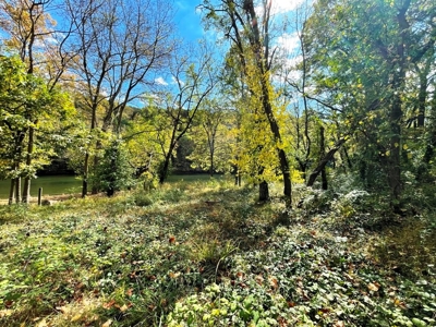 Riverfront Property For Sale In Wythe County VA - image 13