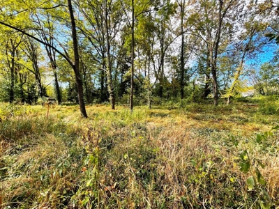 Riverfront Property For Sale In Wythe County VA - image 11