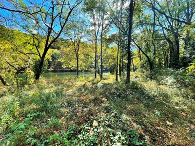 Riverfront Property For Sale In Wythe County VA - image 14