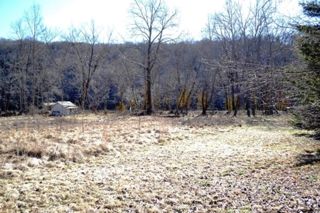 Riverfront Property For Sale In Wythe County VA - image 7