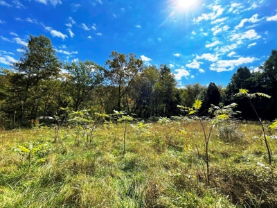 Riverfront Property For Sale In Wythe County VA - image 12