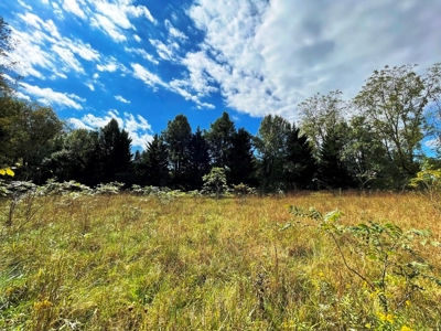 Riverfront Property For Sale In Wythe County VA - image 6