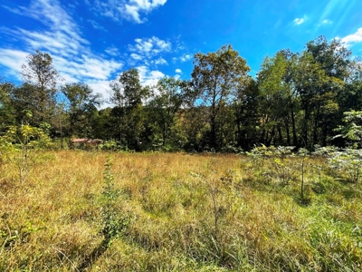 Riverfront Property For Sale In Wythe County VA - image 8
