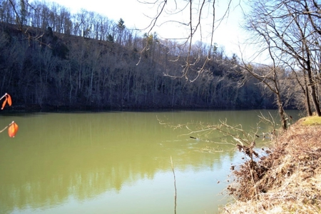Riverfront Property For Sale In Wythe County VA - image 5