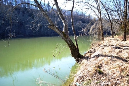 Riverfront Property For Sale In Wythe County VA - image 15