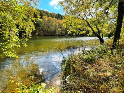 Riverfront Property For Sale In Wythe County VA - image 3
