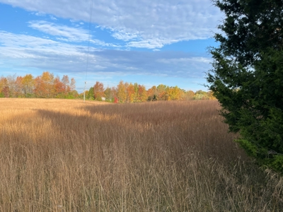 5 acre lot with frontage on 2 roads for sale near Oakland Ky - image 3