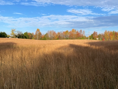 5 acre lot with frontage on 2 roads for sale near Oakland Ky - image 2