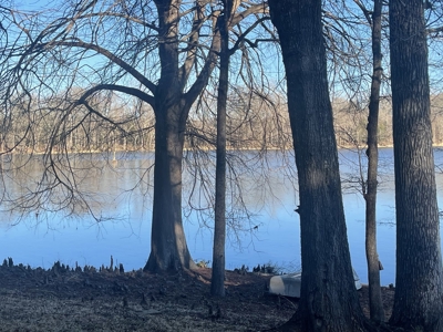 Elegant Lake Home with Comfortable Boathouse. - image 44