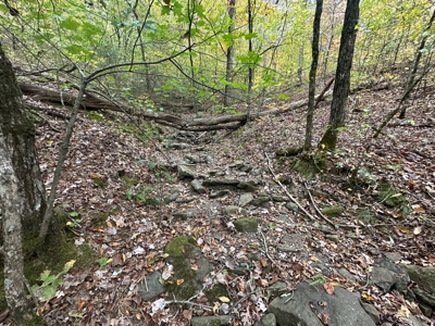 8 Wooded Acres For Sale near Bee Branch, AR - image 7