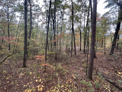 8 Wooded Acres For Sale near Bee Branch, AR - image 9