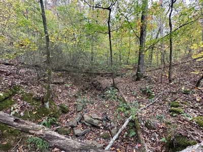 8 Wooded Acres For Sale near Bee Branch, AR - image 6