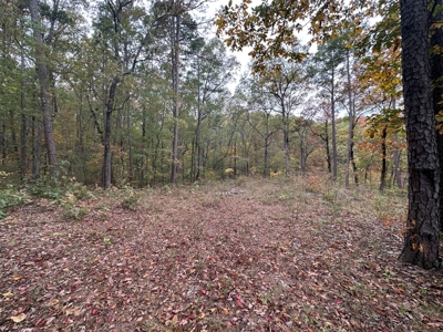 8 Wooded Acres For Sale near Bee Branch, AR - image 2
