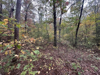 8 Wooded Acres For Sale near Bee Branch, AR - image 8