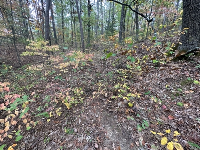 8 Wooded Acres For Sale near Bee Branch, AR - image 10