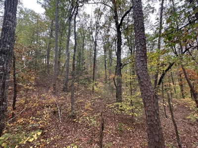 8 Wooded Acres For Sale near Bee Branch, AR - image 11
