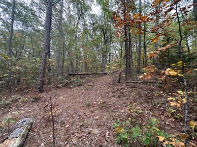 8 Wooded Acres For Sale near Bee Branch, AR - image 12