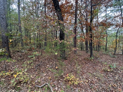 8 Wooded Acres For Sale near Bee Branch, AR - image 13