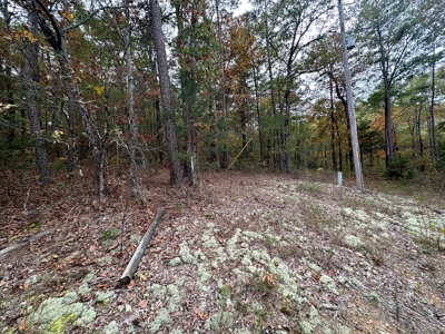 8 Wooded Acres For Sale near Bee Branch, AR - image 16