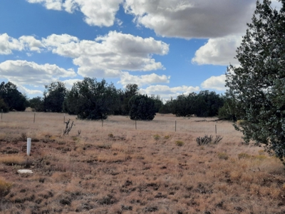 Beautiful Northern AZ 2 acre lot with septic! - image 9