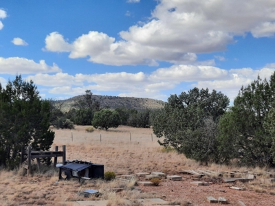 Beautiful Northern AZ 2 acre lot with septic! - image 5