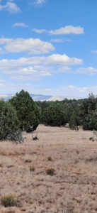 Beautiful Northern AZ 2 acre lot with septic! - image 7