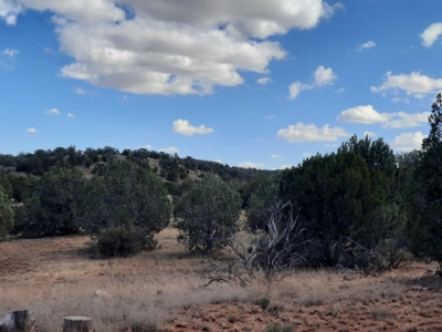 Beautiful Northern AZ 2 acre lot with septic! - image 1