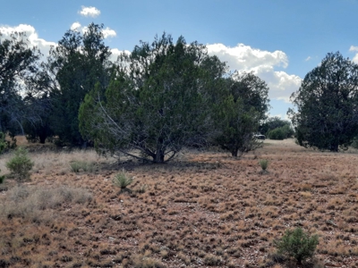 Beautiful Northern AZ 2 acre lot with septic! - image 11