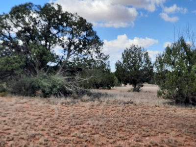 Beautiful Northern AZ 2 acre lot with septic! - image 13