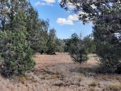 Beautiful Northern AZ 2 acre lot with septic! - image 8