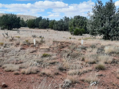 Beautiful Northern AZ 2 acre lot with septic! - image 6