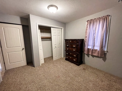 Charming 2-Story Home w/Finished Basement: Move-in Ready! - image 22