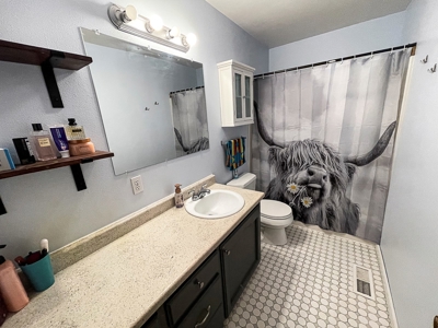 Charming 2-Story Home w/Finished Basement: Move-in Ready! - image 17
