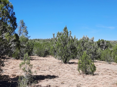 Northern AZ off grid recreational property - image 1