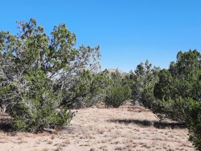 Northern AZ off grid recreational property - image 2