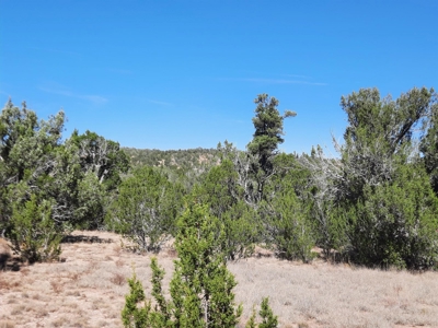 Northern AZ off grid recreational property - image 4