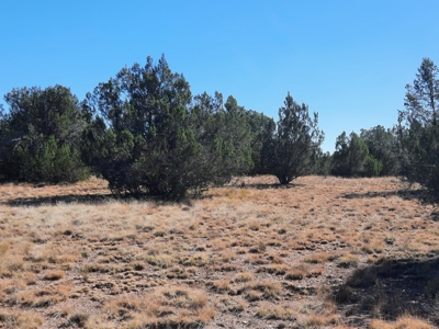 Northern AZ off grid recreational property - image 8