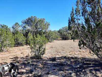 Northern AZ off grid recreational property - image 6