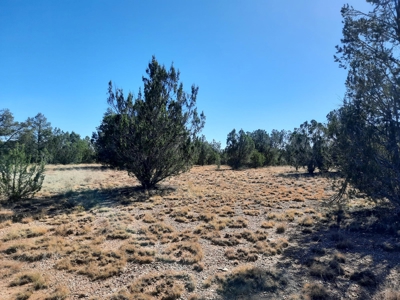 Northern AZ off grid recreational property - image 7