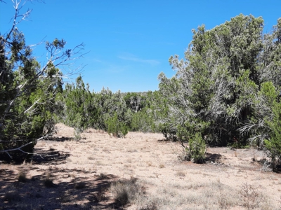 Northern AZ off grid recreational property - image 3