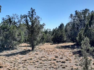 Northern AZ off grid recreational property - image 5