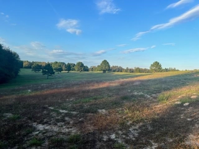 East Texas Farm For Sale - image 4