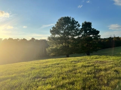 East Texas Farm For Sale - image 2