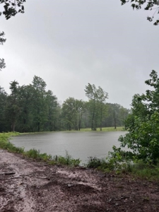 World Class Sporting Clay Facility For Sale - image 8