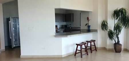 Oceanview Luxury Apartment in Las Olas 1 - Reduced Price! - image 7