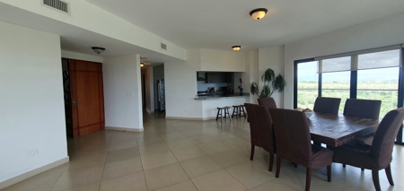 Oceanview Luxury Apartment in Las Olas 1 - Reduced Price! - image 10
