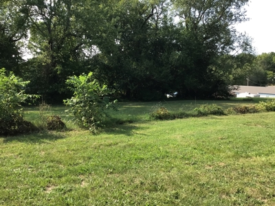 Traditional 2 Story Home in Ava  with Spacious Back Yard - image 10