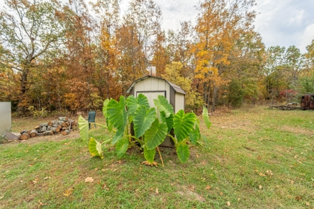 Country Home and 3.44+/- Acres in Oregon County - image 9