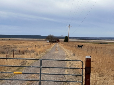 3bed/2bath 1932 sq.ft home with 53.11 acres - image 2