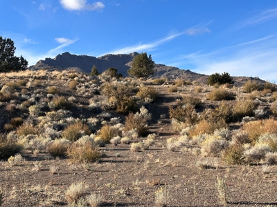 9.66 acres vacant land in Cedarville, Ca. - image 4